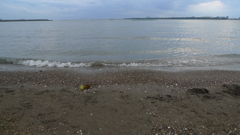 秋の海 海浜公園