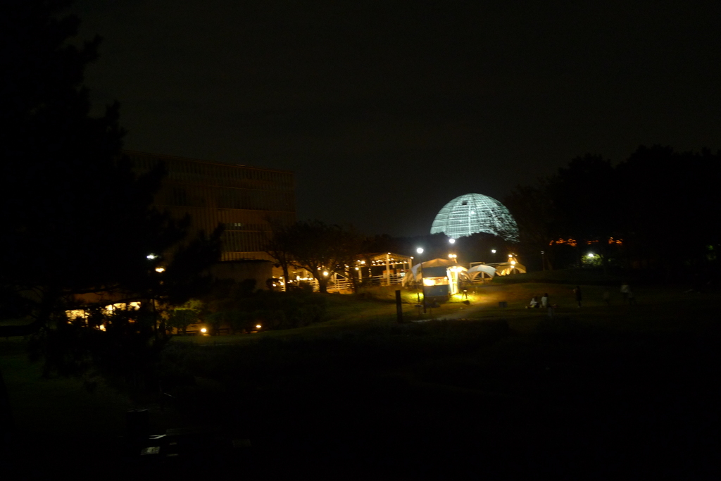 夜景 海浜公園 ドーム