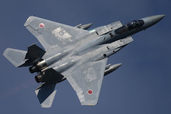 F15 イーグル　背中