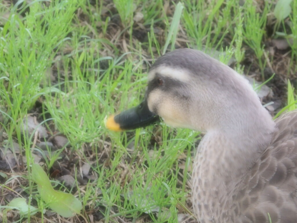 わくわく