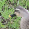 わくわく