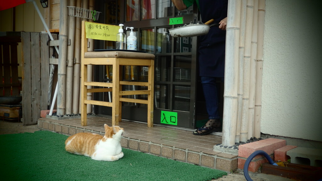 ご飯かな？