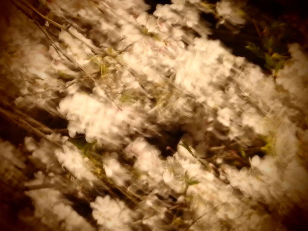 風に吹かれて2