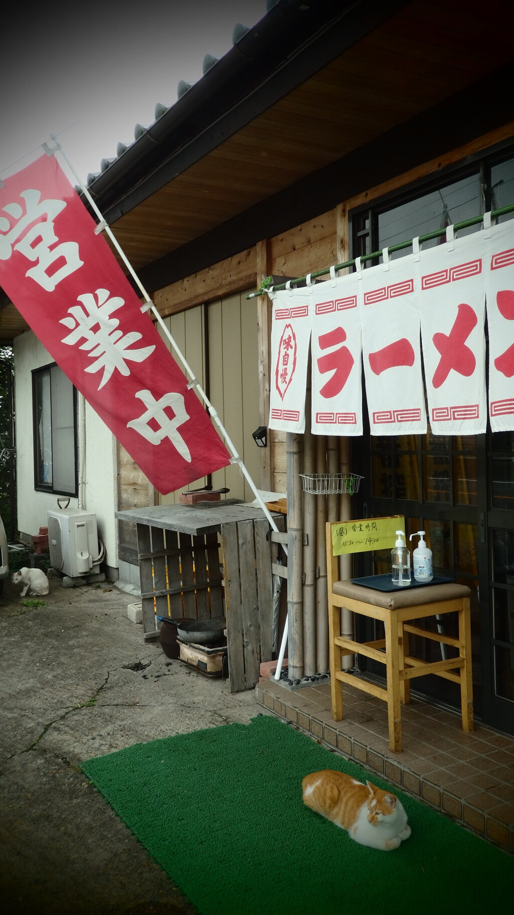 看板猫