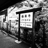 素朴