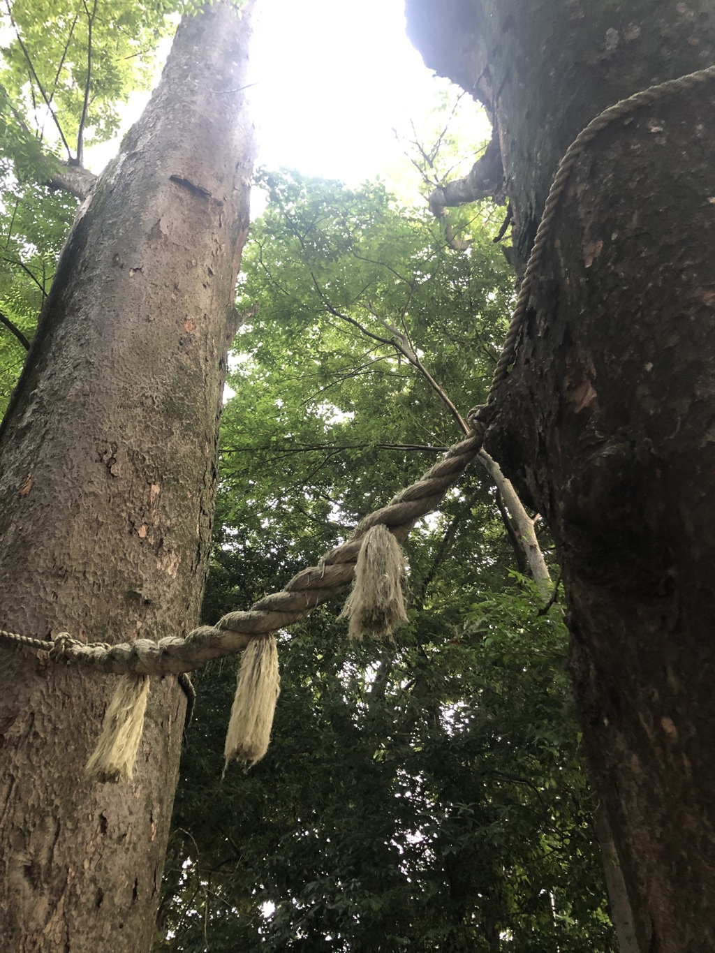 華表