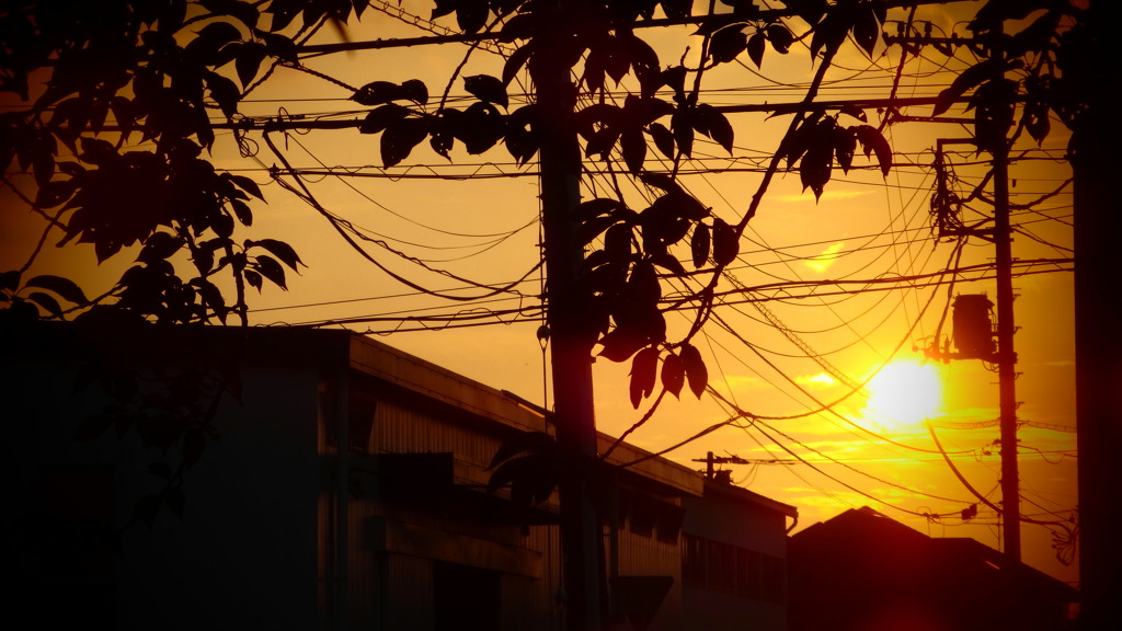 白露の夕焼け２