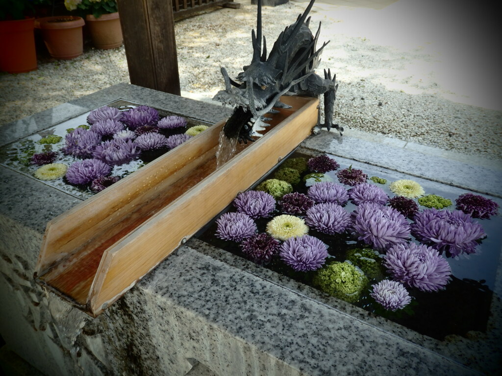 2021.05 花手水