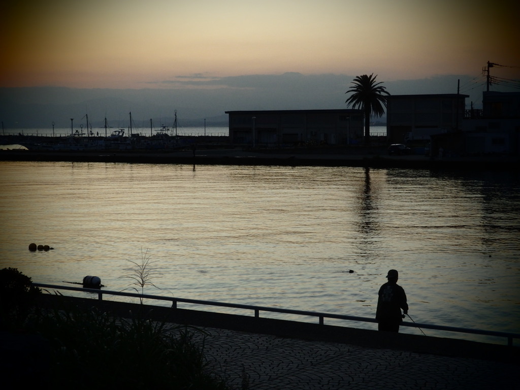 夕釣り1