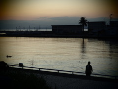 夕釣り1