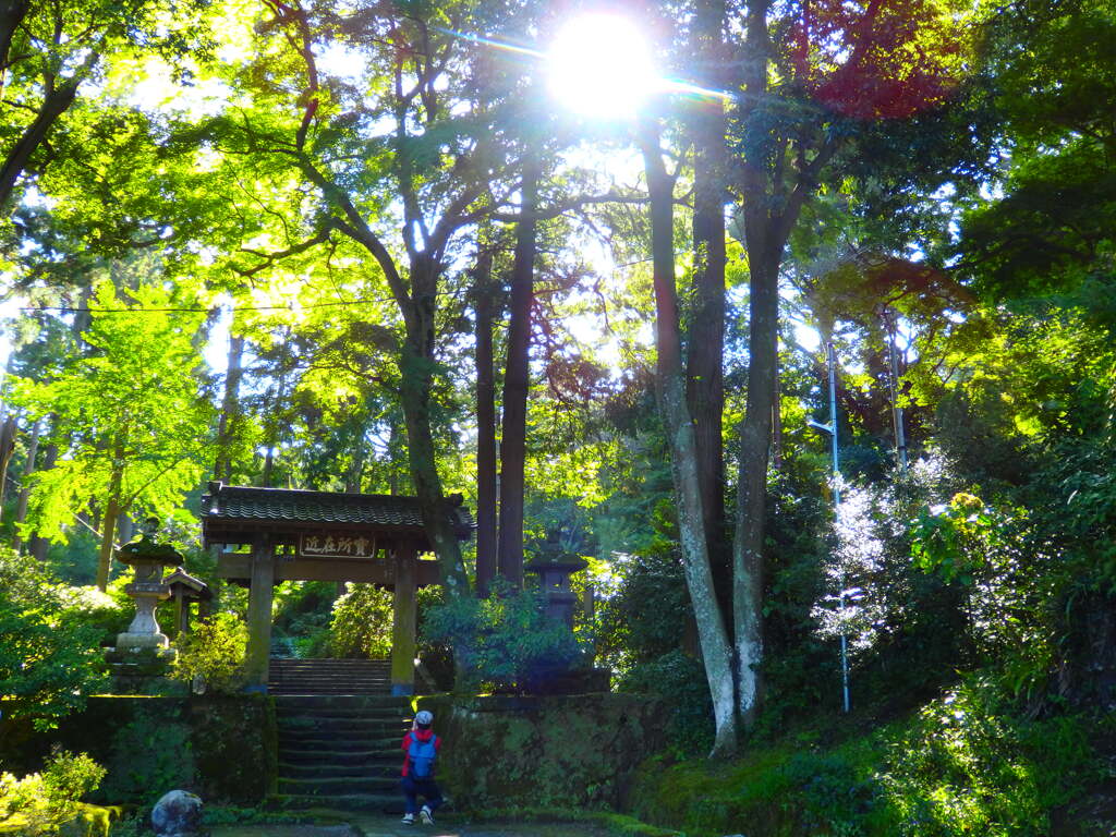 日差し