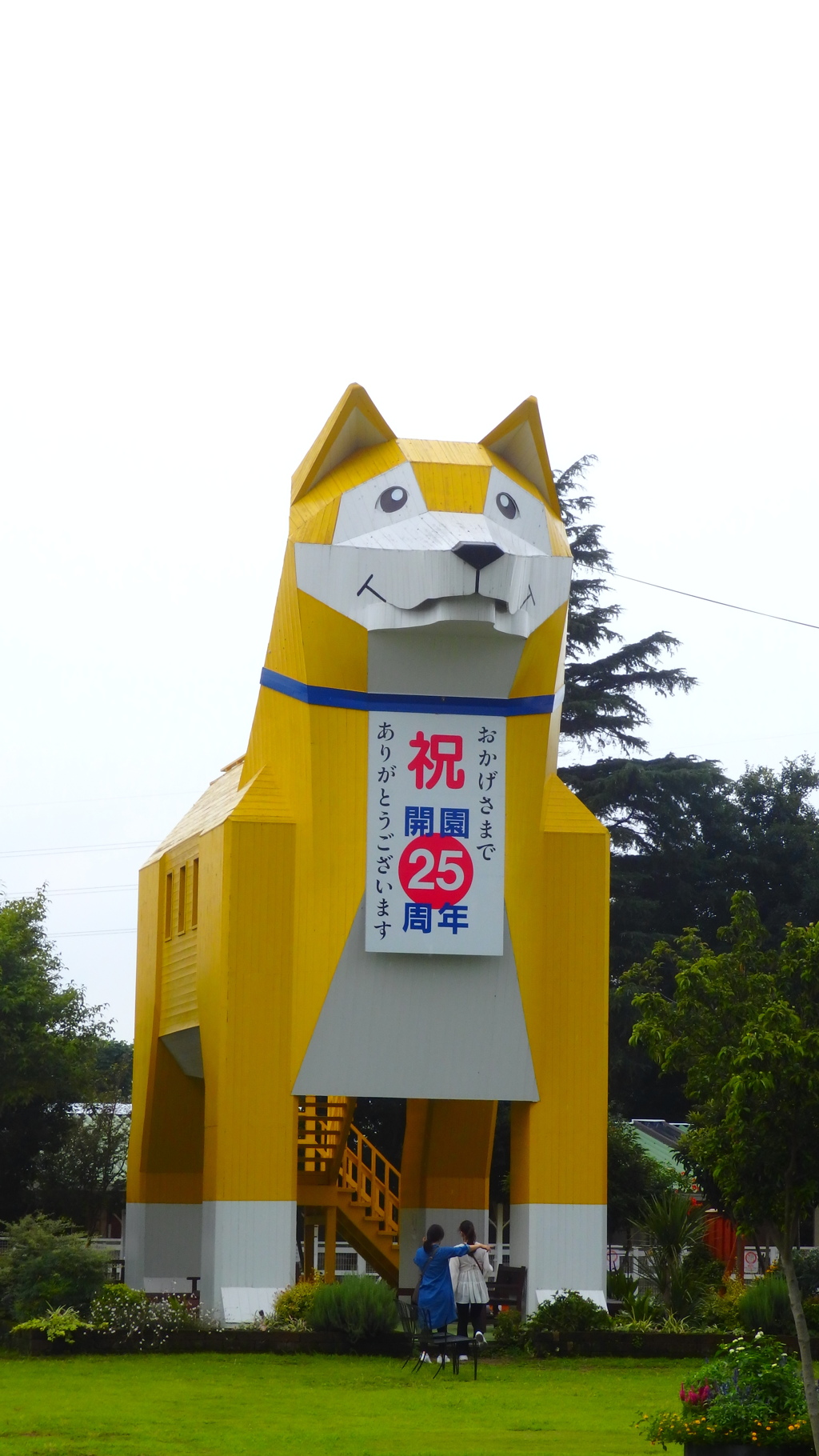 25歳