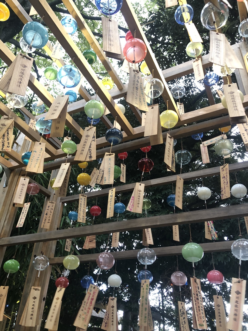 透過度