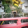 コントラスト