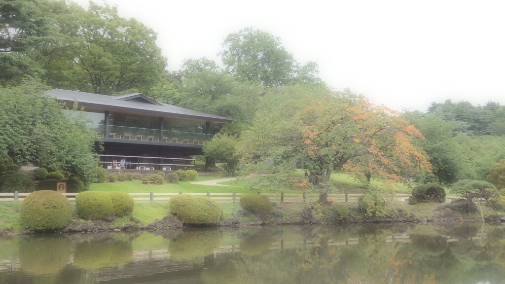 幻想的な日本庭園
