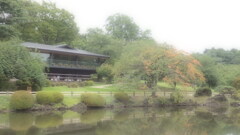 幻想的な日本庭園