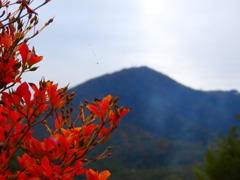 秋の気配