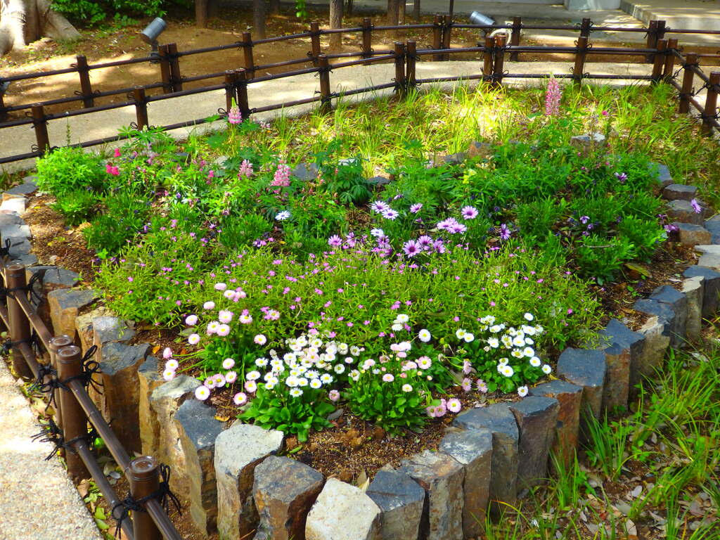 実は…♡の花壇