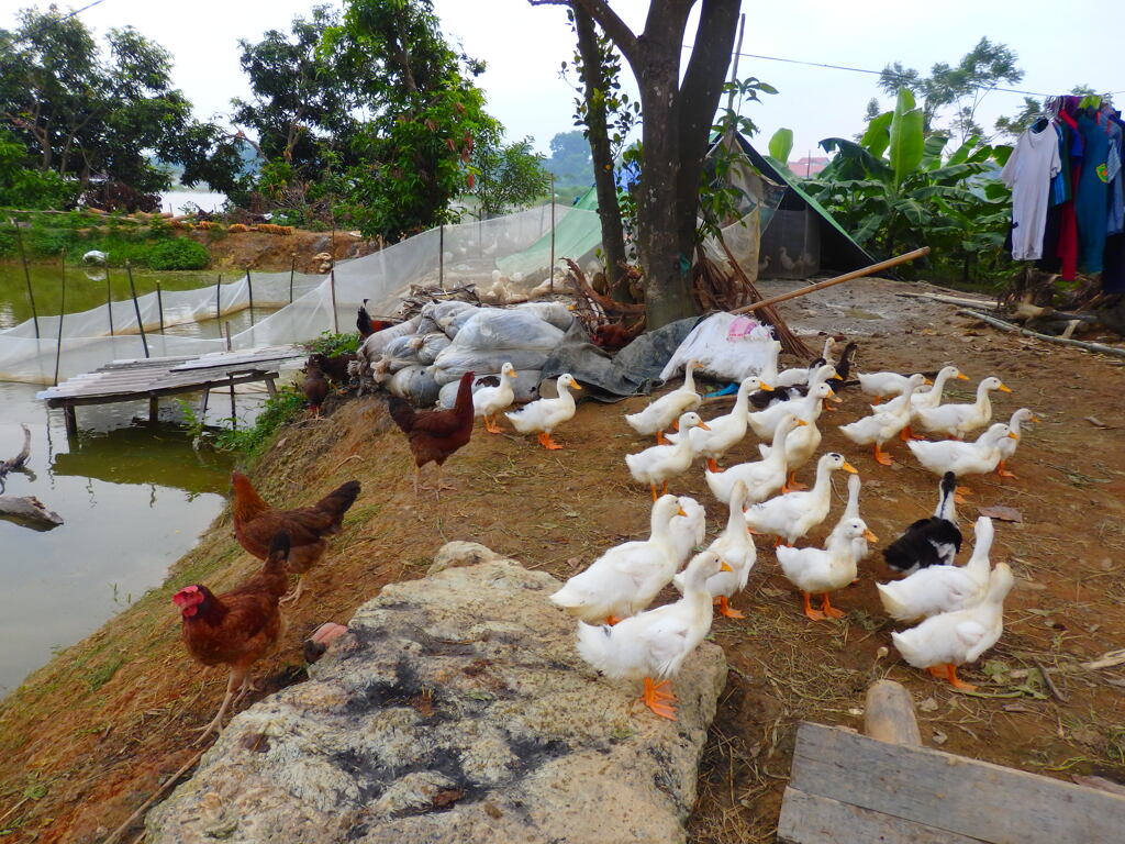 視線の先には？