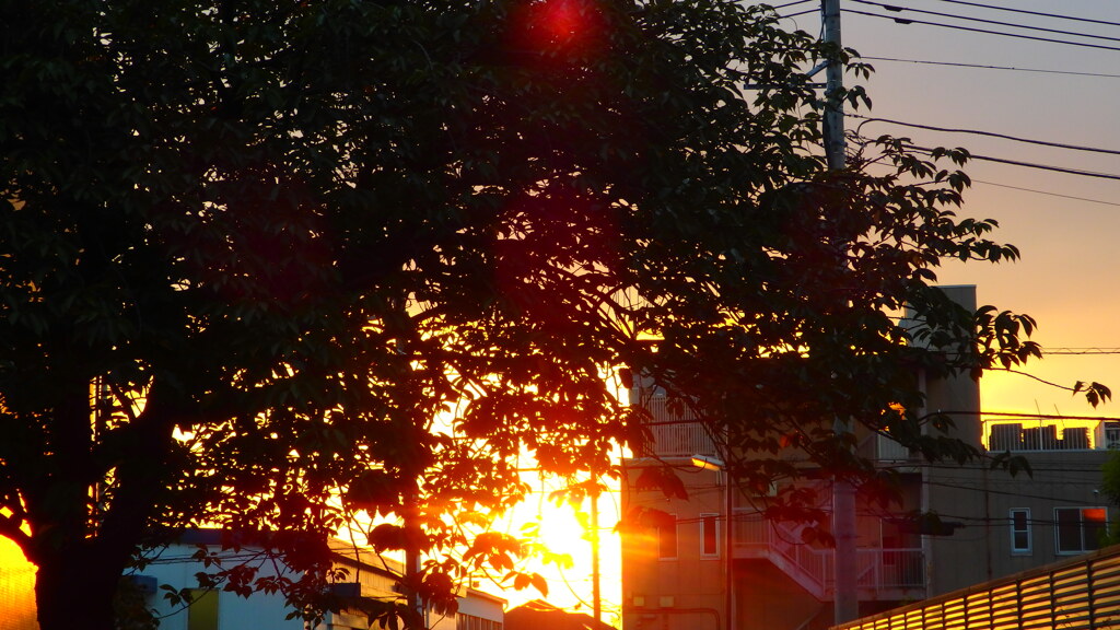 白露の夕焼け
