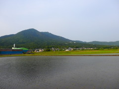 筑波山と田んぼ