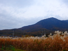 筑波山の麓で踊る