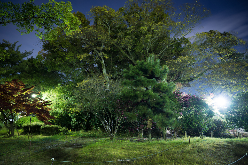 和歌山城二の丸庭園夜景