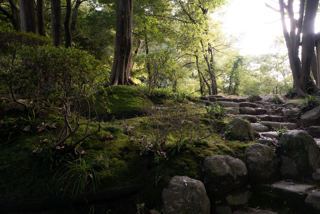 雨上がりの和歌山城 西の丸庭園