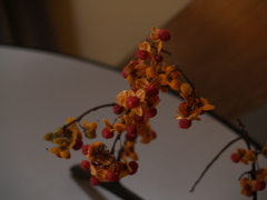 P1010411