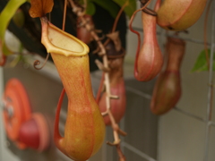 P1010387