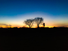 EE69D1A7-2FD0-40D9-BFF5-F17AF37D1BA8