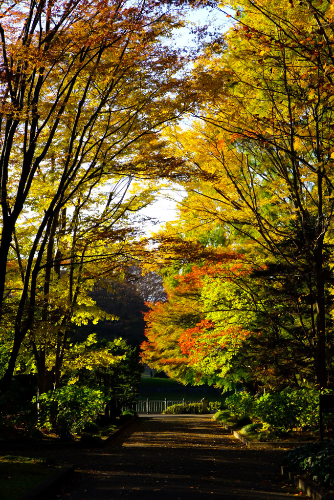 E0176ADD-E8CE-4124-9B15-DB73F2BA6FA3