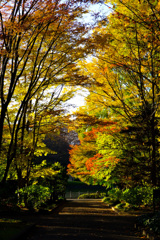 E0176ADD-E8CE-4124-9B15-DB73F2BA6FA3