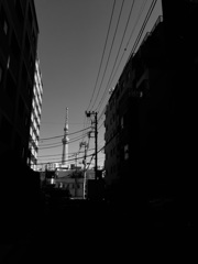 E7FB3CB5-233E-48FD-B993-E3991CE4FEDA