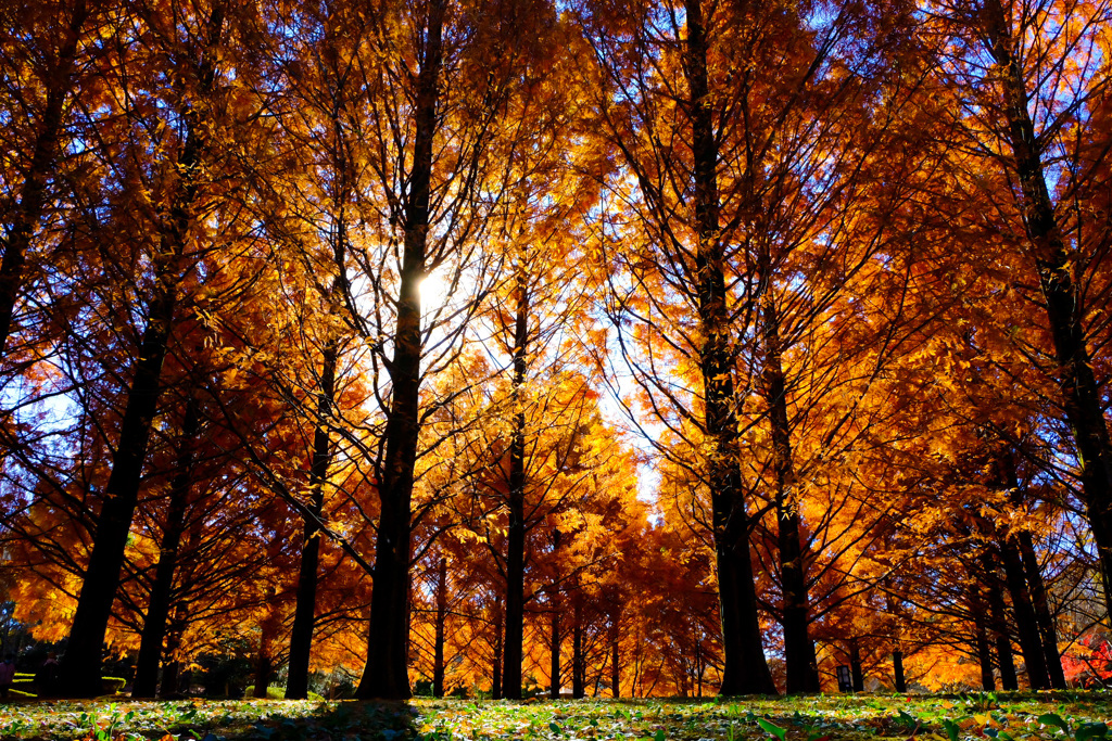 DF617CD3-F004-4A8D-B2D4-37660CDB0A1D