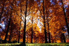 DF617CD3-F004-4A8D-B2D4-37660CDB0A1D