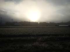 9DBA4EB0-B62D-4F25-8191-9FC0348DACC2