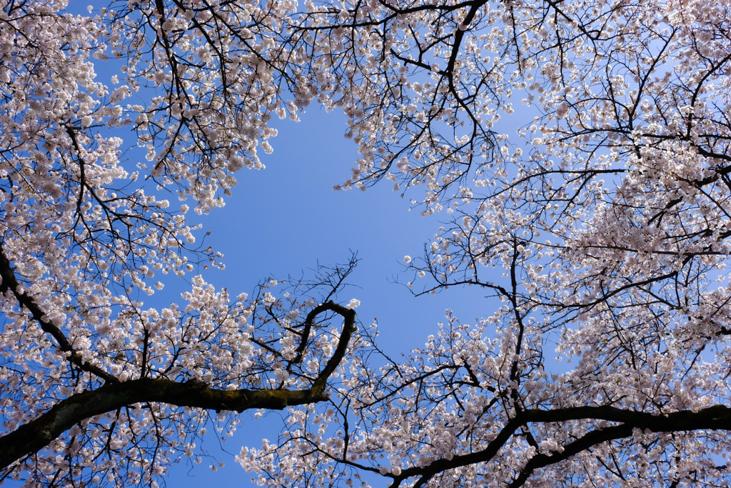 57132645-ECC5-47AC-872C-D3581AEF4C27