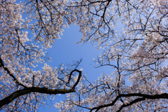 57132645-ECC5-47AC-872C-D3581AEF4C27