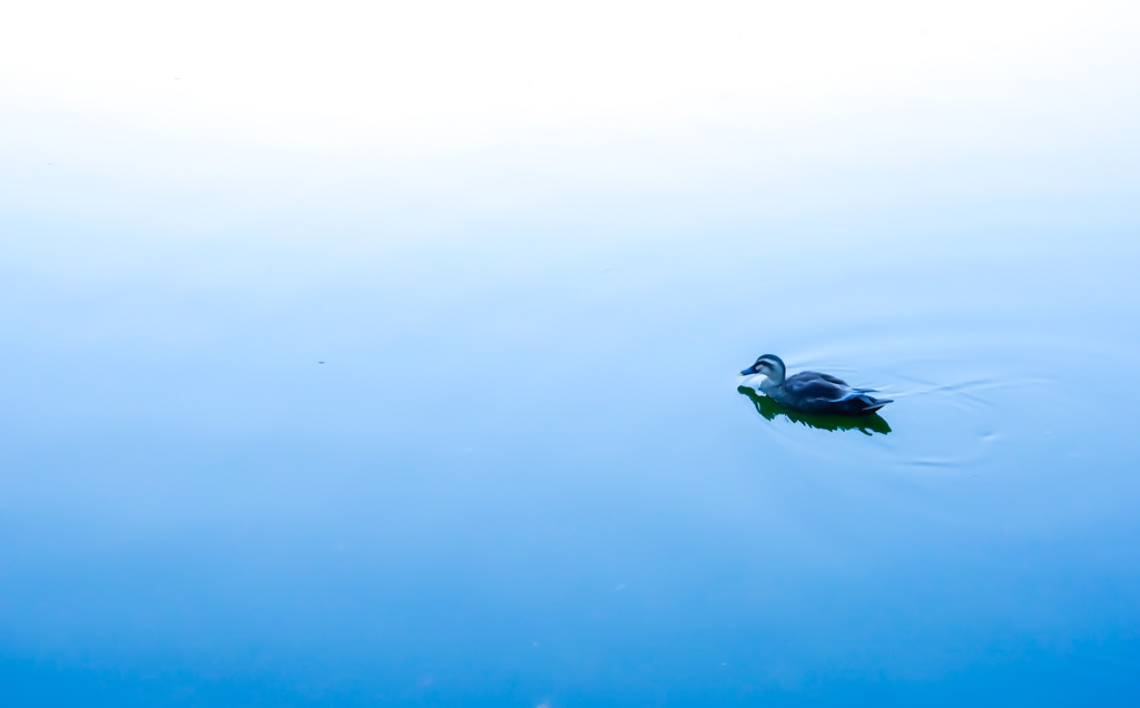 A24DEFF6-EBD4-4675-8B23-6AC912BC78C0