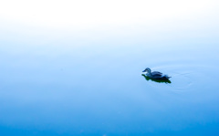 A24DEFF6-EBD4-4675-8B23-6AC912BC78C0