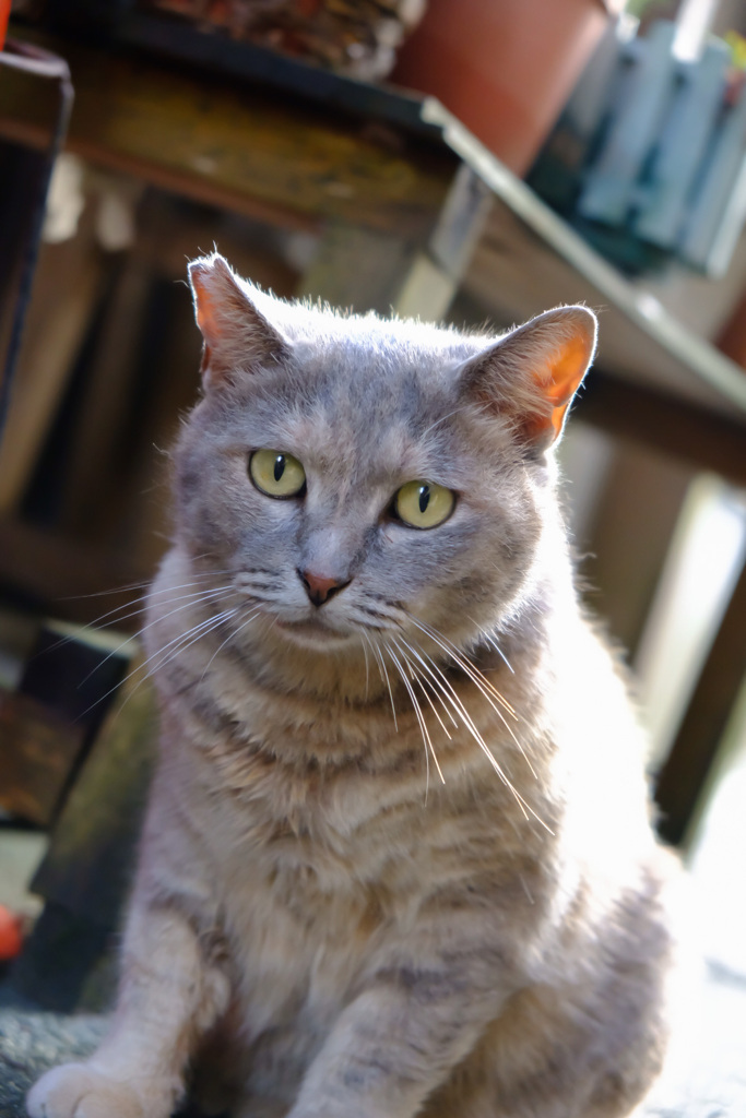 D88DCF05-A7CF-4091-8F79-6E2121B4FA30