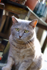 D88DCF05-A7CF-4091-8F79-6E2121B4FA30