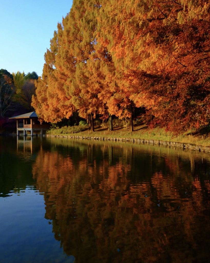 4E0A7CEB-452D-4099-AC42-C0E0F350025B