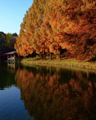 4E0A7CEB-452D-4099-AC42-C0E0F350025B