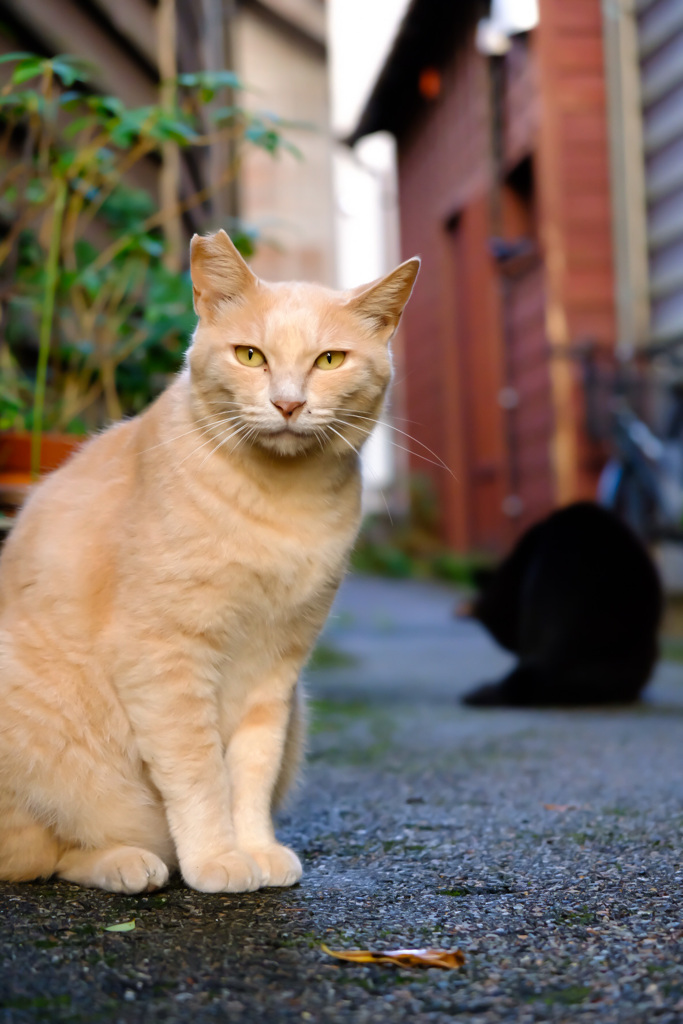 3AABCB64-6135-4F12-B87B-1EBAD9E2EBB2