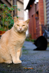 3AABCB64-6135-4F12-B87B-1EBAD9E2EBB2