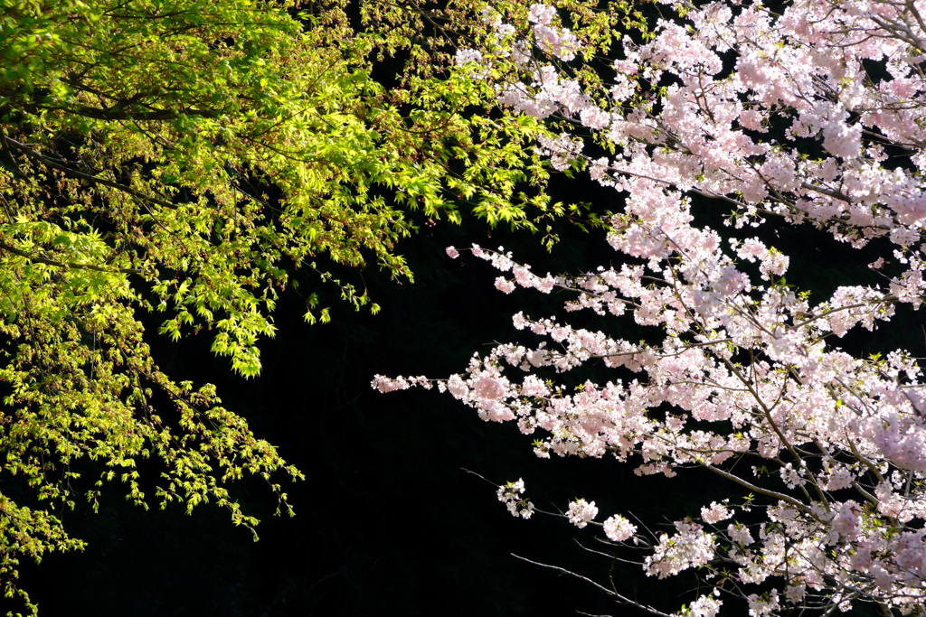 9BE45D79-66BC-470F-AFF8-2056ABE2DF77