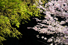 9BE45D79-66BC-470F-AFF8-2056ABE2DF77