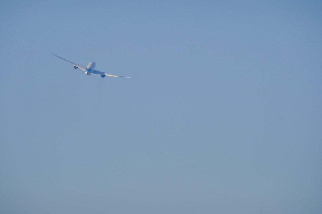 E223E5EA-6A9B-462F-BD2C-B474439C2EAD